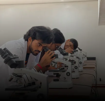 microbiology-labs